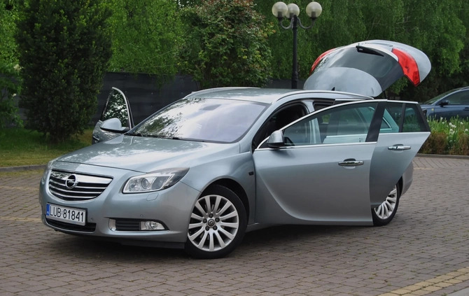 Opel Insignia cena 21900 przebieg: 334000, rok produkcji 2010 z Narol małe 121